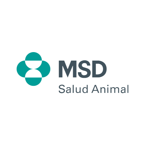 msd
